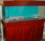 tank 2
