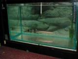Tank 0
