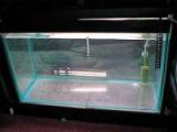 Tank 2