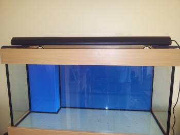 Marksfish