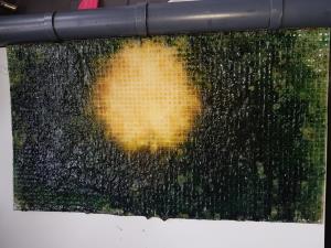 Algae Scrubber