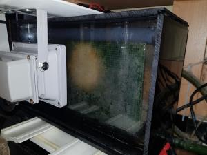 Algae Scrubber