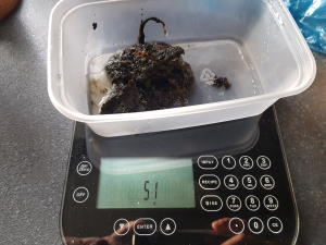 Algae Scrubber