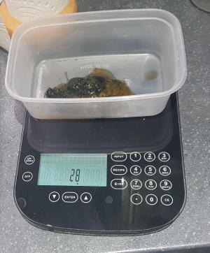 Algae Scrubber