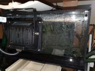 Algae Scrubber