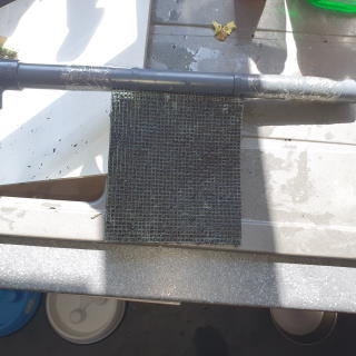 Algae Scrubber