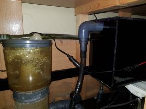 Algae Scrubber