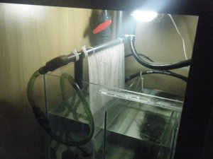 Algae scrubber 1