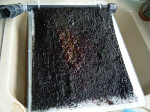 Algae scrubber 16