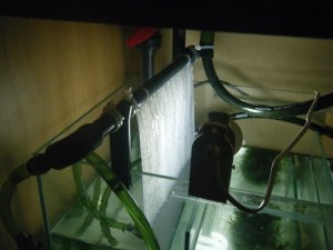 Algae scrubber 2