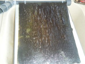 Algae scrubber 23