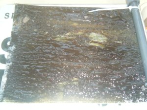 Algae scrubber 24