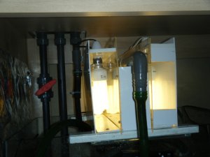 Algae Turf Scrubber