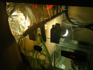 Algae scrubber 4