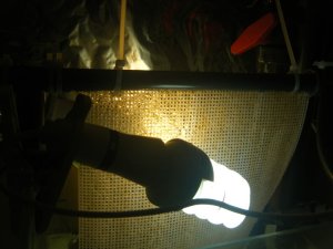 Algae scrubber 5