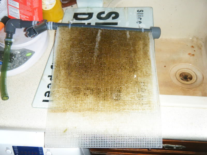 Algae scrubber 7
